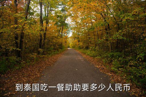 助幣是什么意思，到泰國吃一餐助助要多少人民幣