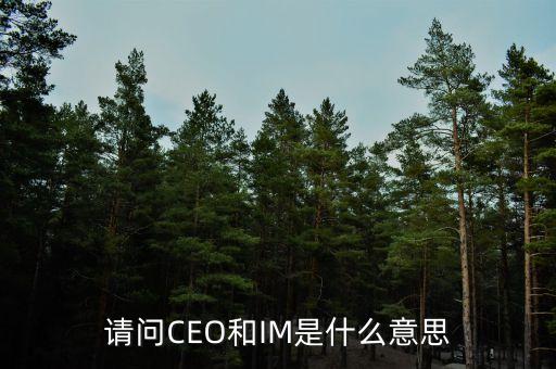 光大富尊IM是是什么，請(qǐng)問(wèn)CEO和IM是什么意思