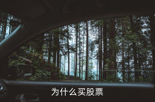 為什么會(huì)買股票，為什么買股票