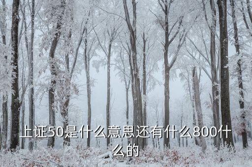 上證50什么意思，上證50是什么意思還有什么800什么的