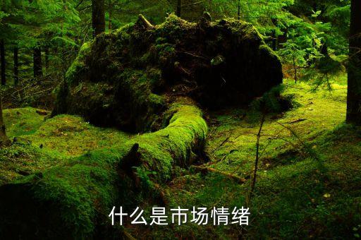 什么是市場(chǎng)情緒