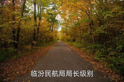 民航總局老干部局局長是什么級別，臨汾民航局局長級別