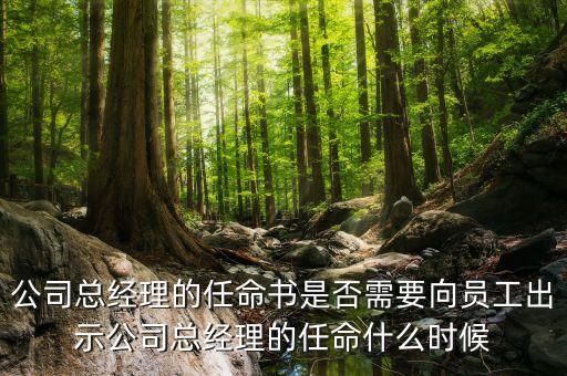 國企高管任免時間什么時候，國企的領(lǐng)導負責人是怎么任免的