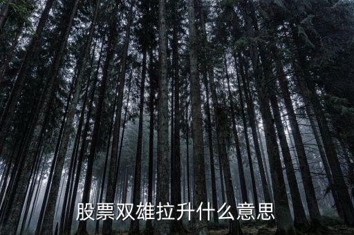 石化雙雄漲停意味著什么，股票雙雄拉升什么意思