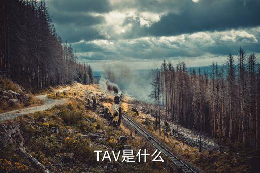 什么是孕線，TAV是什么
