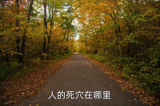 人身死穴在什么地方，人的死穴在哪里