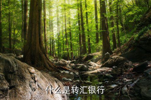 什么叫轉(zhuǎn)匯，在匯兌結(jié)算中轉(zhuǎn)匯是什么意思轉(zhuǎn)匯的收款人必須是原收款人怎么