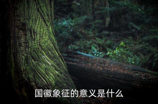國琪意義是什么，國徽象征的意義是什么