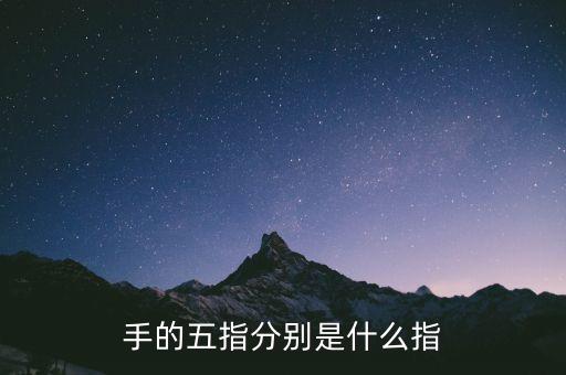 五指最后小指是什么指，五指 怎么分別