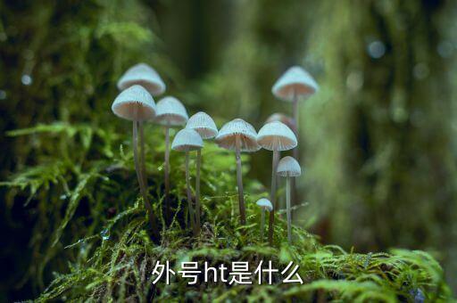買受人號碼ht是什么，備案合同中買受人號碼HT