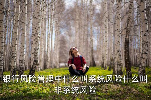 不發(fā)生系統(tǒng)性什么意思，銀行風(fēng)險(xiǎn)管理中什么叫系統(tǒng)風(fēng)險(xiǎn)什么叫非系統(tǒng)風(fēng)險(xiǎn)