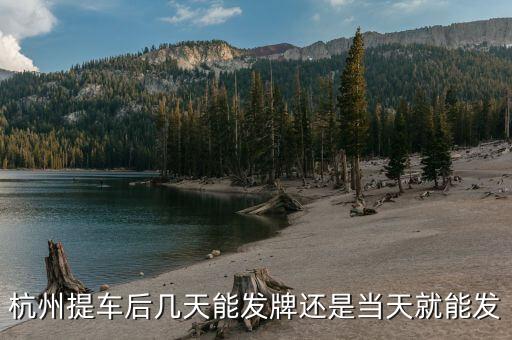 杭州車牌什么時(shí)候發(fā)放，杭州車牌拍好多久拿到