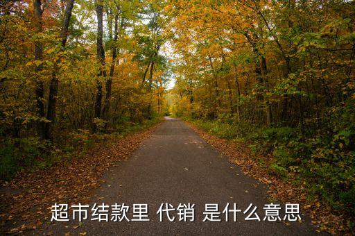 超市代銷(xiāo)是什么意思，代銷(xiāo)商品款是甚么意思