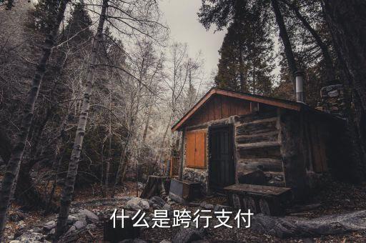 什么是跨行清算，什么叫跨行