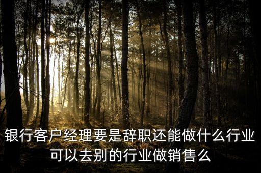 銀行客戶經(jīng)理要是辭職還能做什么行業(yè)可以去別的行業(yè)做銷(xiāo)售么
