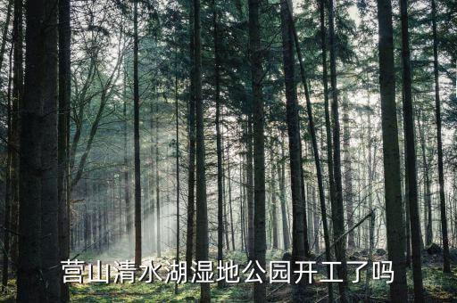 岱湖濕地什么開工，營山清水湖濕地公園開工了嗎