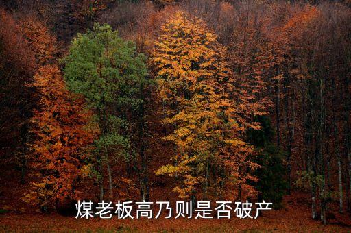 七千萬嫁女煤老板為什么會(huì)破產(chǎn)，太原迎賓車站附近最近奇聞