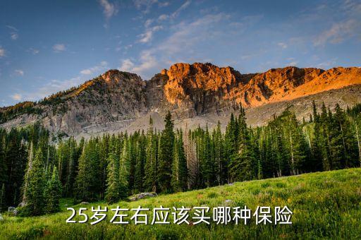 25歲買什么保險(xiǎn)好，25歲買什么保險(xiǎn)最劃算