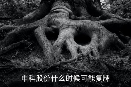 300097股什么時(shí)候復(fù)牌，申科股份什么時(shí)候可能復(fù)牌