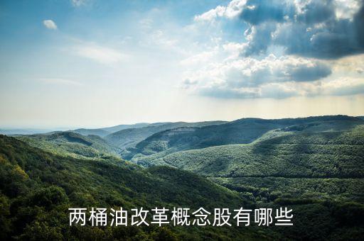 石油濟(jì)柴為什么st，兩桶油改革概念股有哪些