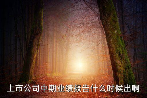 中報(bào)業(yè)績最晚什么時(shí)間公布，規(guī)定股票中報(bào)什么時(shí)候出