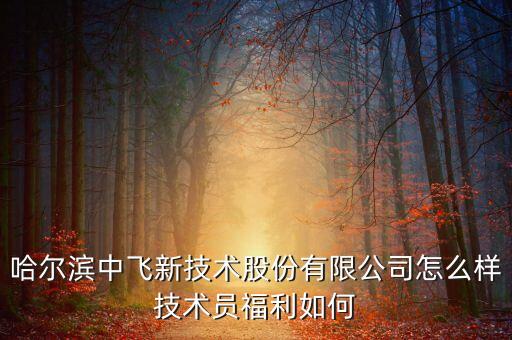 中飛股份公司做什么的，哈爾濱中飛新技術(shù)股份有限公司怎么樣技術(shù)員福利如何