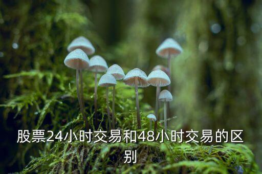 24小時(shí)交易是什么意思，股票24小時(shí)交易和48小時(shí)交易的區(qū)別