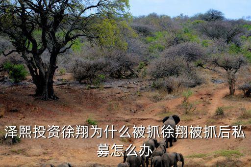 徐翔為什么會(huì)被抓，澤熙投資徐翔為什么被抓徐翔被抓后私募怎么辦