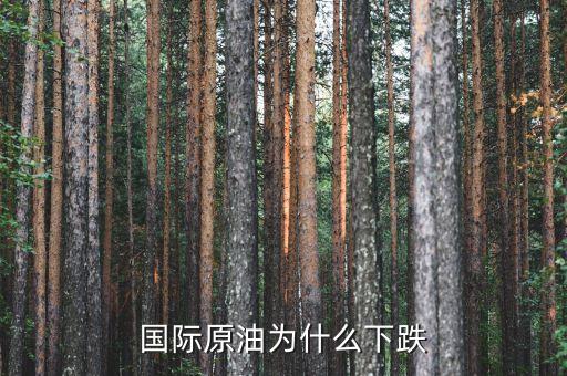 國際原油為什么暴跌，造成國際油價(jià)下跌的因素有哪些