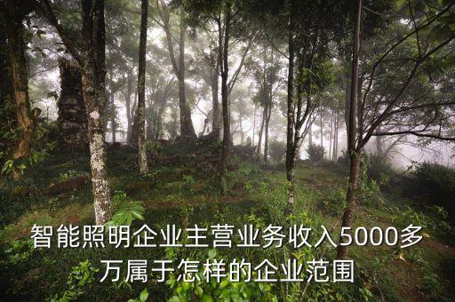 溫州宏豐主營什么，請問凈利率的公式計算是凈利潤主營業(yè)務 還是主營業(yè)務還加其他也