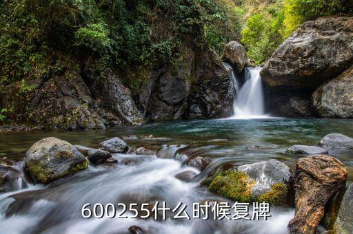 天邦股份什么時候復(fù)盤，601001什么時間復(fù)盤