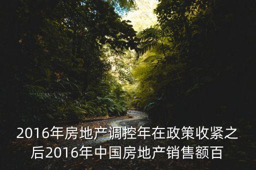 2016房市下一步還能出什么政策，2016年房地產(chǎn)調(diào)控年在政策收緊之后2016年中國房地產(chǎn)銷售額百