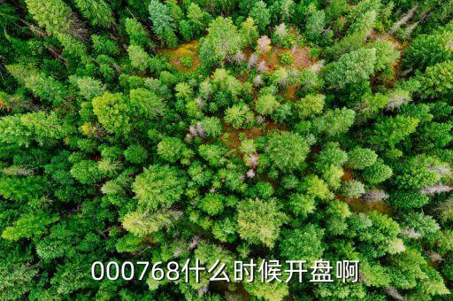南方軸承什么時(shí)候開盤，000768什么時(shí)候開盤啊