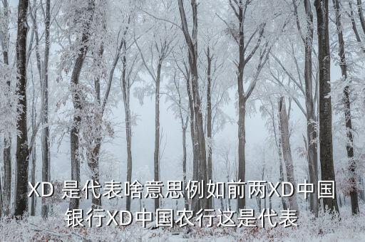 農(nóng)行中證代表什么，XD 是代表啥意思例如前兩XD中國銀行XD中國農(nóng)行這是代表
