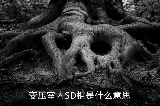 授軍旗為什么在室內(nèi)，變壓室內(nèi)SD柜是什么意思