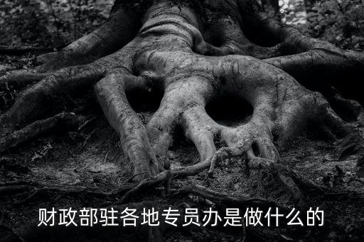 財(cái)專辦是什么，財(cái)政部駐各地專員辦是做什么的