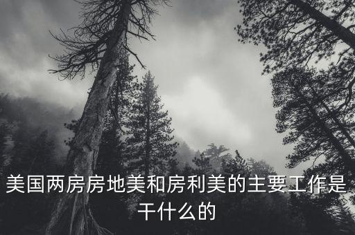 房地美和房利美是干什么的，房地美和房利美是什么意思
