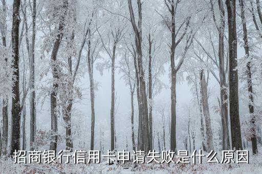 招商銀行信用卡申請(qǐng)失敗什么原因，招商銀行信用卡申請(qǐng)失敗是什么原因