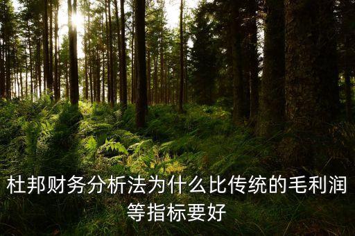 為什么要比較毛利率，杜邦財務(wù)分析法為什么比傳統(tǒng)的毛利潤等指標要好
