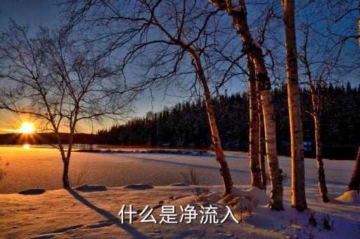 中單凈流入是什么意思，為什么中單凈流入與小單凈流入之和等于主力凈流入
