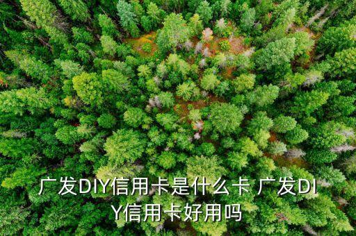 什么是diy信用卡，廣發(fā)DIY信用卡是什么卡 廣發(fā)DIY信用卡好用嗎