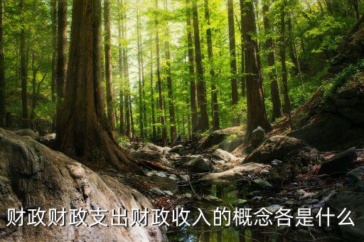 什么是財(cái)政支出，財(cái)政支農(nóng)支出的含義是什么