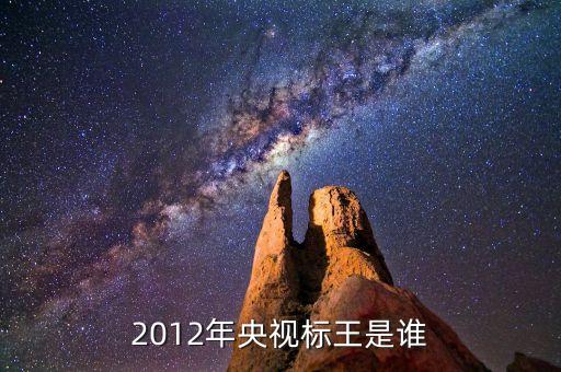 cctv標王是什么，央視廣告今年的標王是哪個