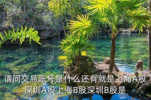 股東賬號是什么，請問交易賬號是什么還有就是上海A股深圳A股上海B股深圳B股是