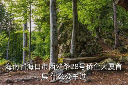 海南公務(wù)車什么號(hào)段，誰知道海南41 11月20日開的什么號(hào)碼