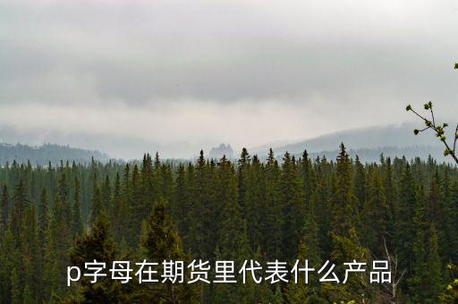 pp是什么期貨，聚丙烯期貨是什么