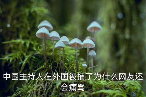 國網(wǎng)魏慶海出什么事了，中國主持人在外國被捕了為什么網(wǎng)友還會痛罵