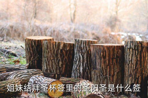圣陽圣屬什么簽，天災(zāi)禍不除我去拜佛了請問下這只簽是什么意思啊好
