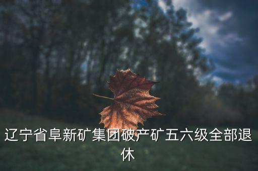 阜礦集團(tuán)什么時(shí)候破產(chǎn)，遼寧省阜新礦集團(tuán)破產(chǎn)礦五六級(jí)全部退休