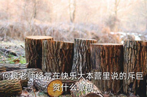 赤巨資是什么意思，赤巨資是什么意思能解釋一下嗎